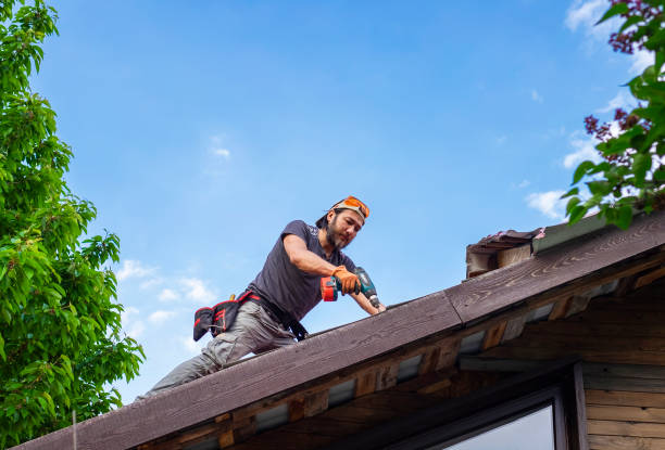 Best Roof Leak Repair  in Kailua, HI